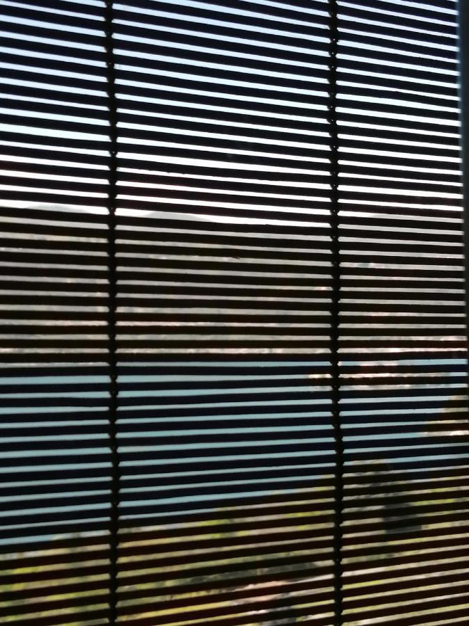 Terrazza Sul Lago 阿米诺 外观 照片