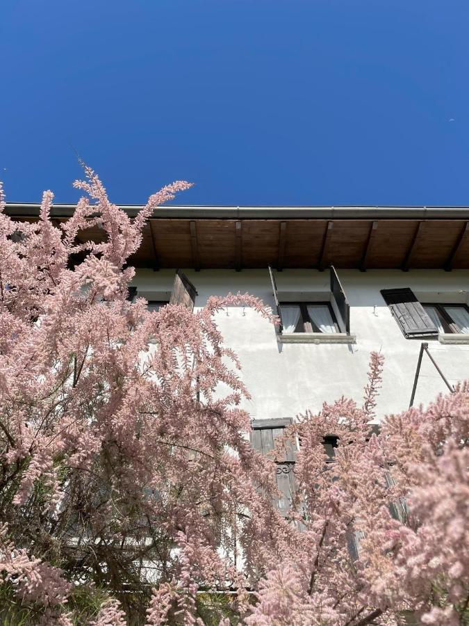 Terrazza Sul Lago 阿米诺 外观 照片