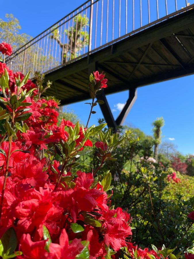 Terrazza Sul Lago 阿米诺 外观 照片