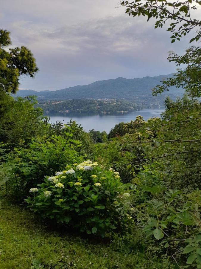 Terrazza Sul Lago 阿米诺 外观 照片
