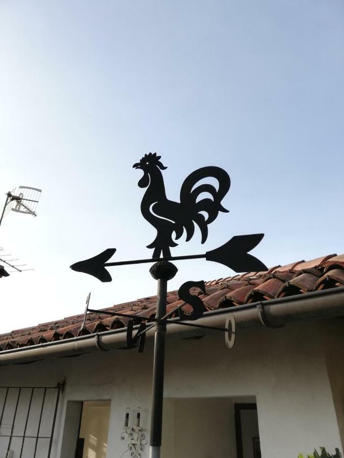 Terrazza Sul Lago 阿米诺 外观 照片
